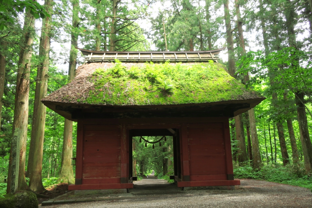 Mountain Forest Shrine