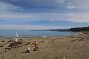 Beach Toys