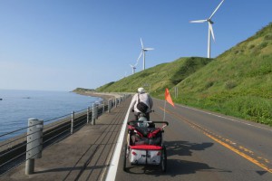 Large Windfarm