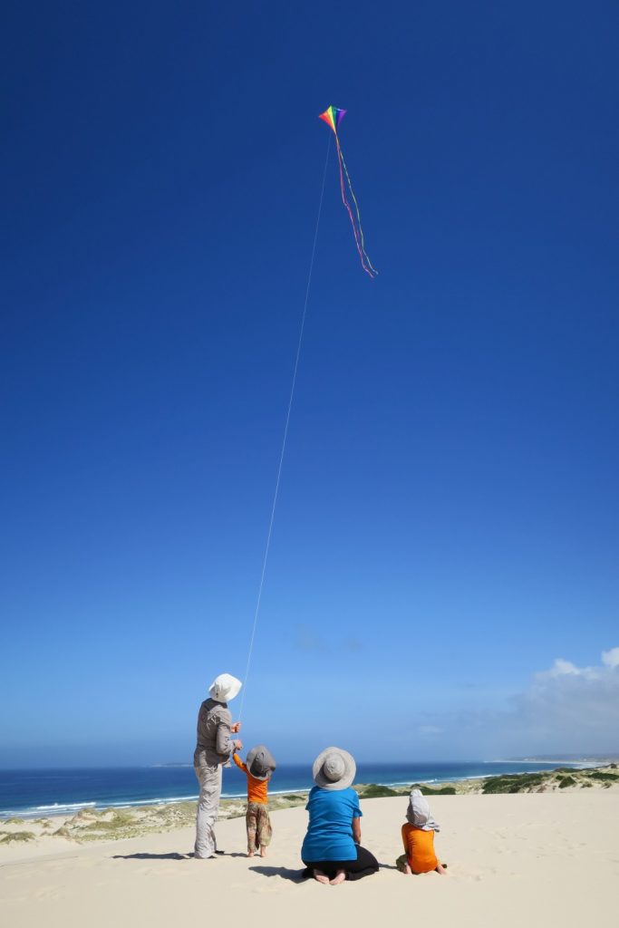 Flying kites