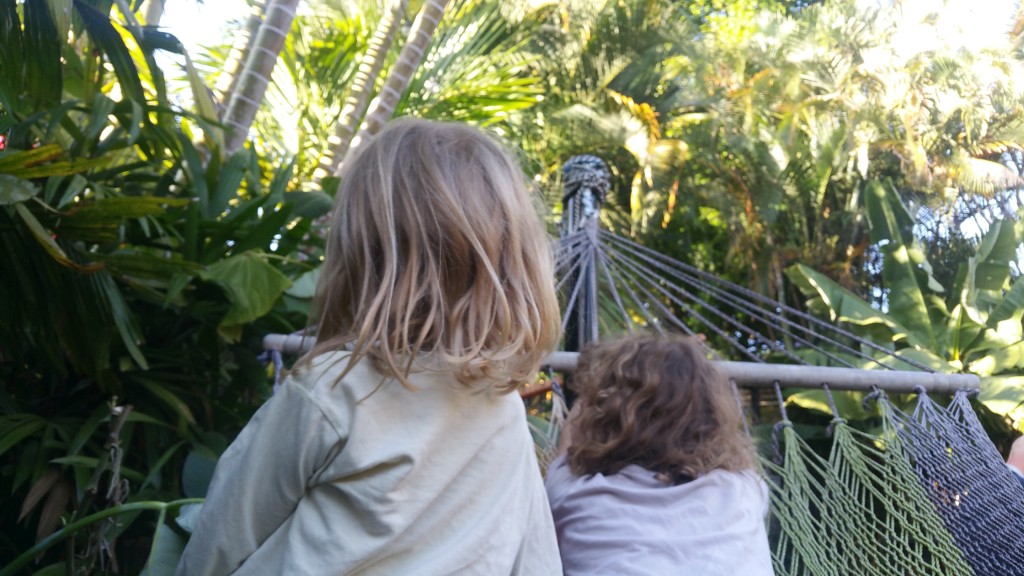 Hammock hang out