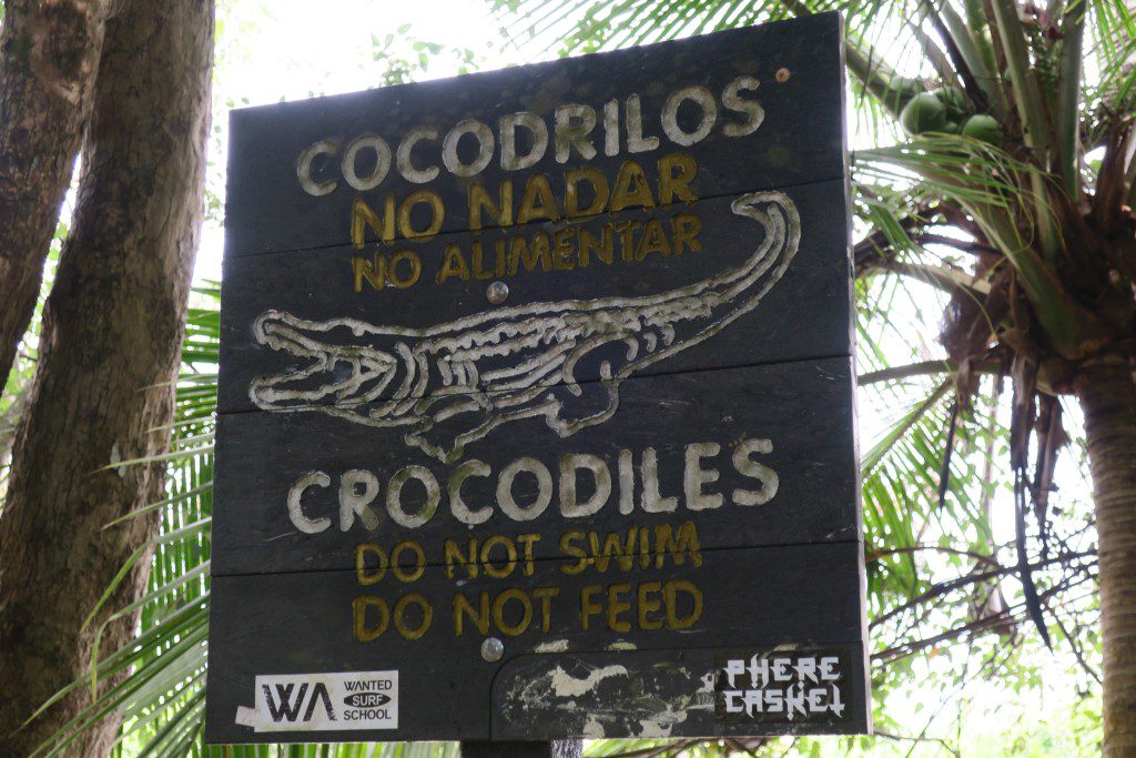 Crocodiles!