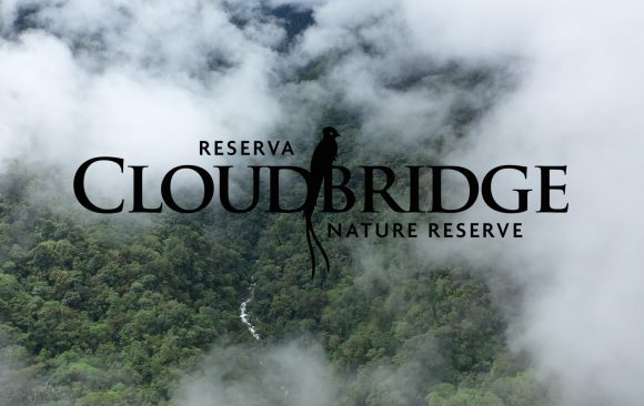 Cloudbridge video